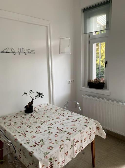 Parokia Apartman Es Coworking A Balaton Mellett Kaptalantoti Dış mekan fotoğraf